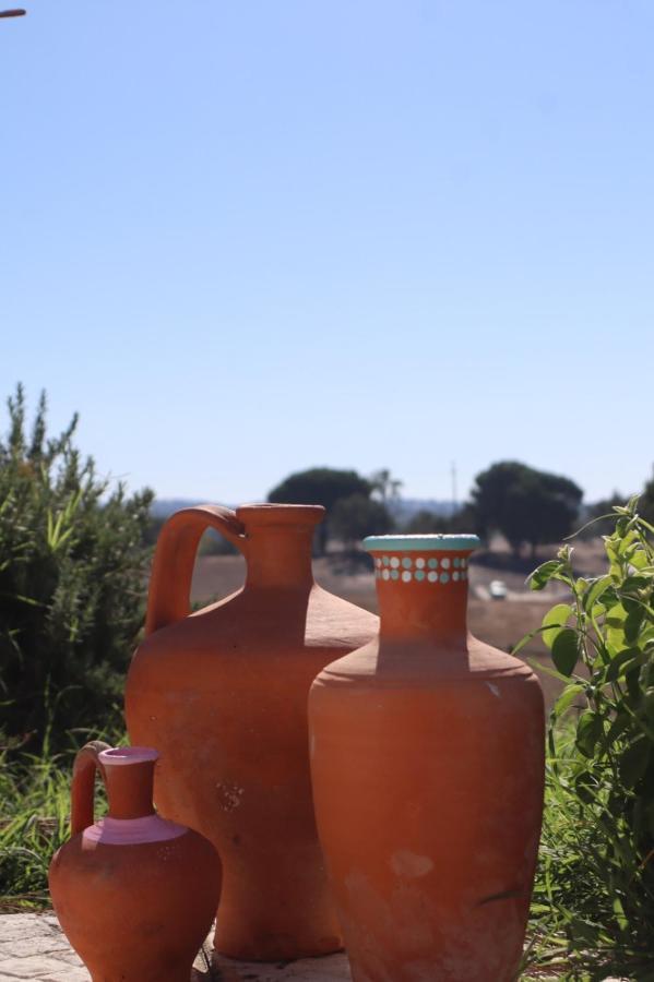 Monte Santo Villa Montargil Dış mekan fotoğraf