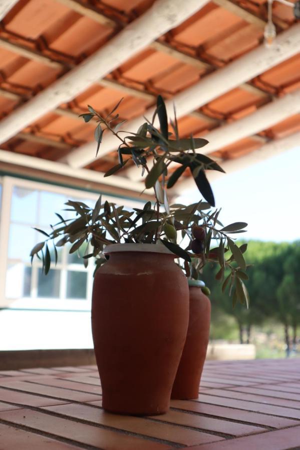Monte Santo Villa Montargil Dış mekan fotoğraf